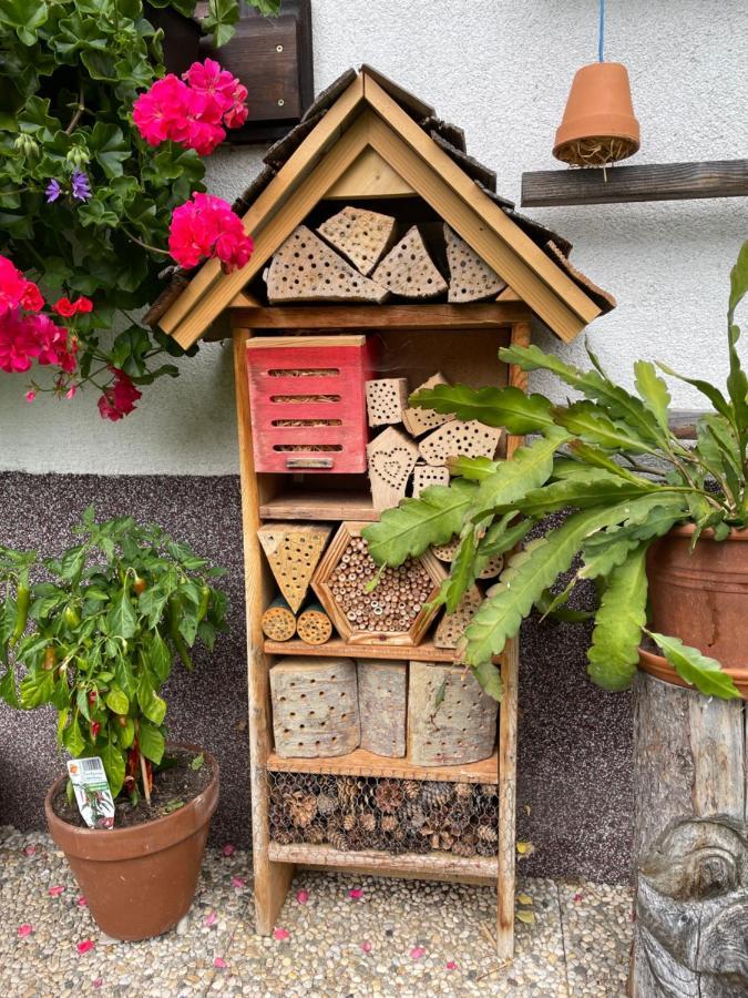 Ferienwohnung Sonnschein Bad Mitterndorf Kültér fotó